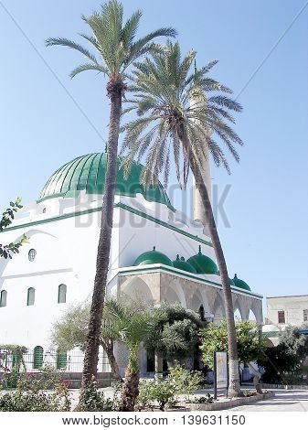 Palm Tree in front of El-Jazzr Mosque in Akko (Acre) Israel
