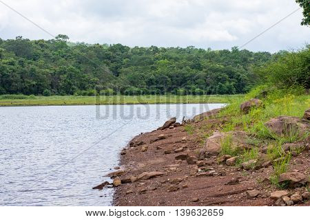 Mountains and rivers during the rainy season.