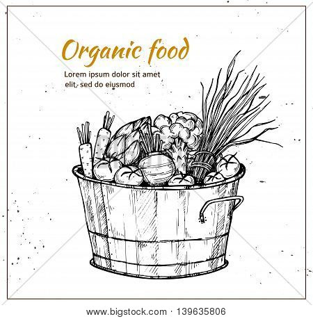 Hand Drawn Vector Illustration - Fresh Vegetables. Supermarket. Grocery Store. Organic And Vegan Foo