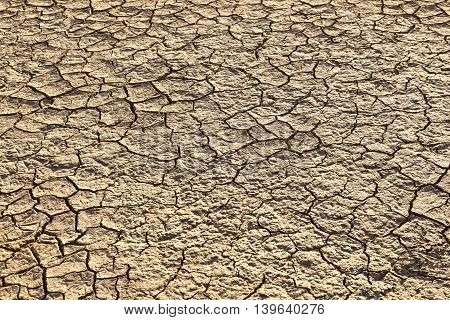 Loam In A Saline Basin