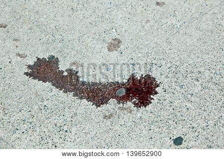 blood at the street in harlem, New York