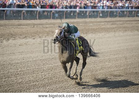 SARATOGA SPRINGS, NY - July 22: Sweet Loretta in the Stretch winning the 98th runniing of the Schulerville Stakes for 2 year old Fillys on July 22, 2016 in Saratoga Springs, NY.