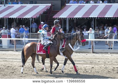 SARATOGA SPRINGS, NY - July 22: Olive Branch in the Post Parade for the 98th runniing of the Schulerville Stakes for 2 year old Fillys on July 22 in Saratoga Springs, NY.