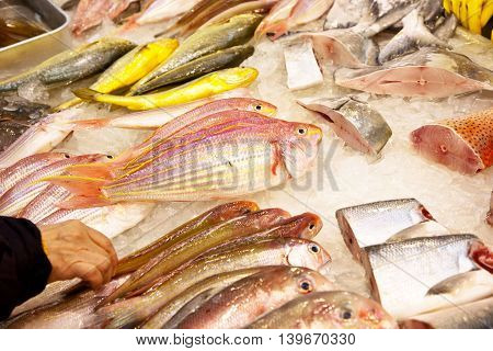 Whole Fresh Fishes Are Offered In The Fish Market In Asia