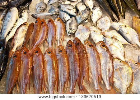 Whole Fresh Fishes Are Offered In The Fish Market In Asia