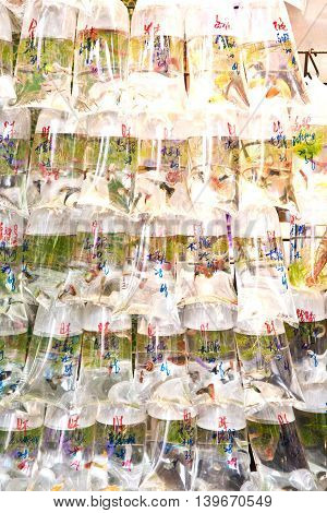 Bags Of Fishes For Sale At A Market