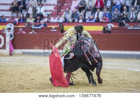 Jaen SPAIN - October 17 2008: The Spanish Bullfighter Curro Diaz bullfighting with the crutch in the Bullring of Jaen Spain