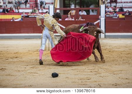 Jaen SPAIN - October 17 2008: The Spanish Bullfighter Curro Diaz bullfighting with the crutch in the Bullring of Jaen Spain
