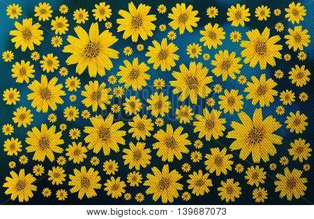 Texture Canvas  Yellow Singapore Daisy Flowers Summer Background
