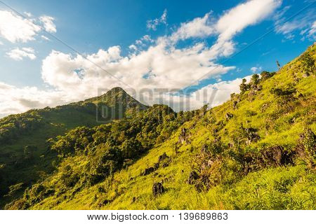 Trail On Sub Alpine Mountains In Tropical Rainforest