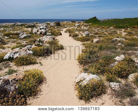 Hiking trail on the seashore in Menorca