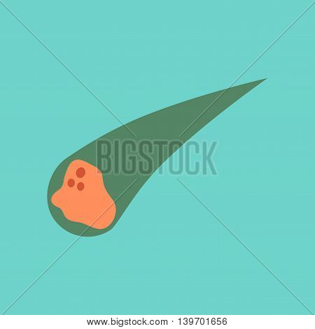 flat icon on stylish background nature falling meteorite