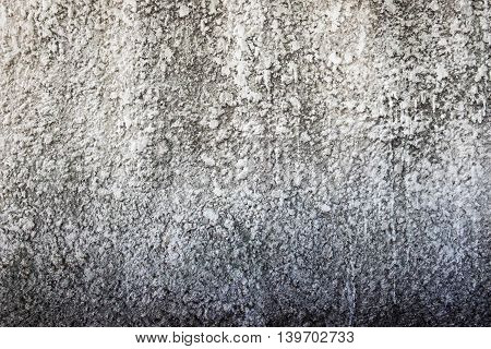 Old grunge cement textures background fungus on the wall