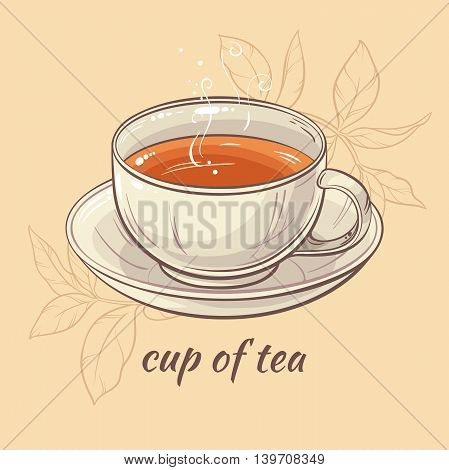 vector illustration with cup of tea on color background