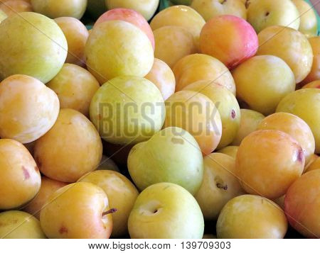 Plums on market of Whittamore's Farm in Markham Ontario