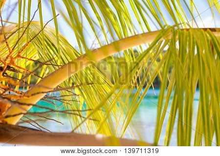 Photo Untouched Tropical Beach in Bali Island. Horizontal Picture. Closeup