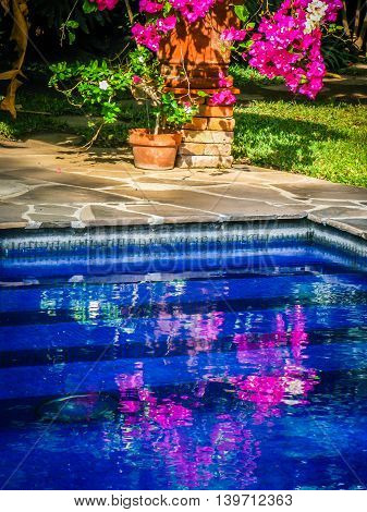 Mexican swimming pool with blue water and flower reflection