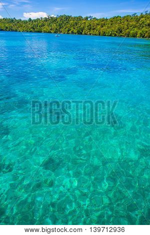 Photo of Man Driving Natural Wood Long Tail Boat Caribbean Ocean. Clear water and blue sky with clouds. Vertical