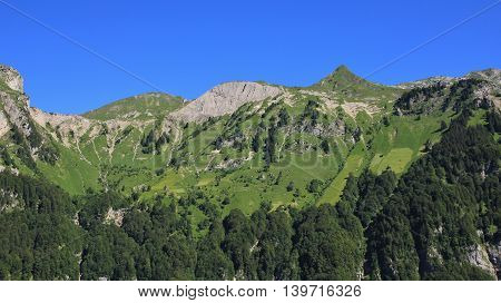 View from Schwammhohe. Steep farmland and mountain in Glarus Canton Switzerland.