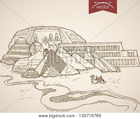 Engraving vintage hand drawn vector Egypt Africa Sphinx Sketch