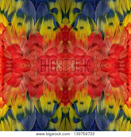 Seamless Red Yellow And Blue Background Made Of Scarlet Macaw Parrot Bird Feathers, Exotic Texture