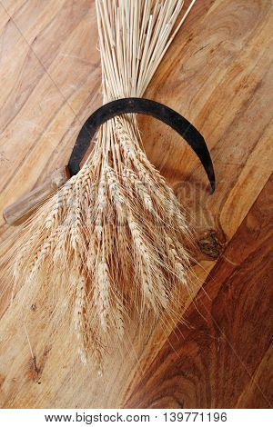 bunch of mown wheat ears with vintage handmade reaper hook sickle on light wooden table