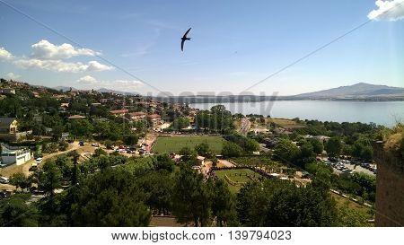 Spain, Manzanares el Real, swallows in the air