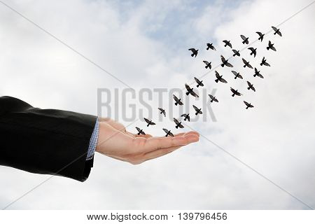 flock of birds forming an arrow flying off a male hand success concept