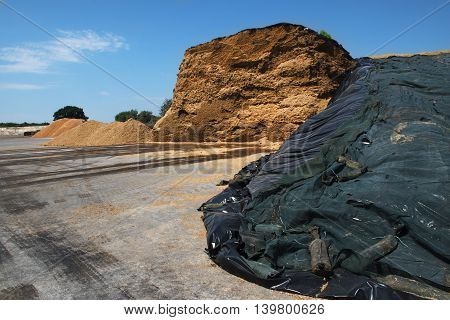 heap of biomass from a biogas plant against the blue sky with clouds industry concept for renewable energy and environmental protection