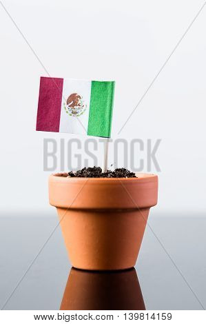 Flag Of Mexico In A Plant Pot