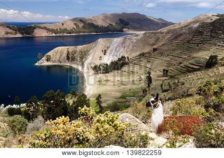 South America Bolivia - Isla del Sol on the Titicaca lake the largest highaltitude lake in the world (3808m) This island's legendary Inca creation site and the birthplace of the sun. Landscape of the Titicaca lake