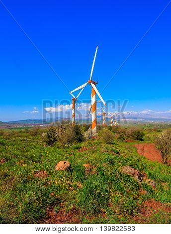 Flowering Golan Heights on a sunny day. Several huge modern windmills. Seen in the distance the snow-covered Mount Hermon
