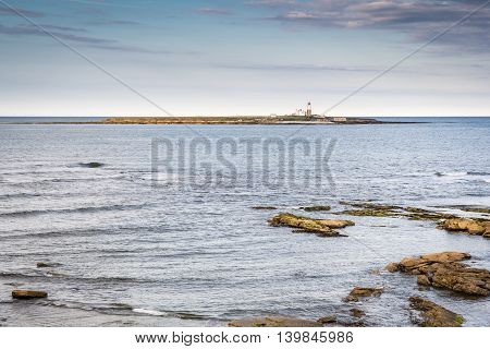 Coquet Island Nature Reserve, is a small island just off the Northumberland coast at Amble and is home to many seabirds