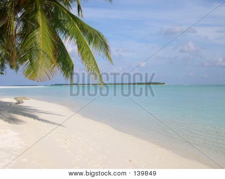 Paraíso