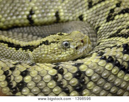 Bauholz Rattler