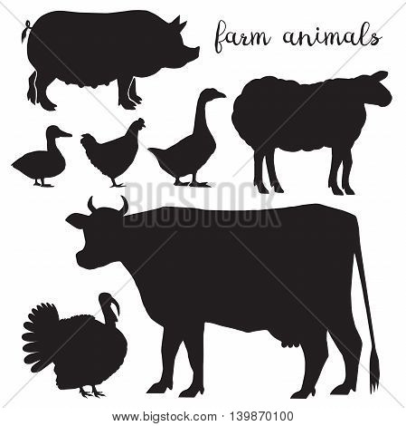 Set of farm animals isolated on white background.