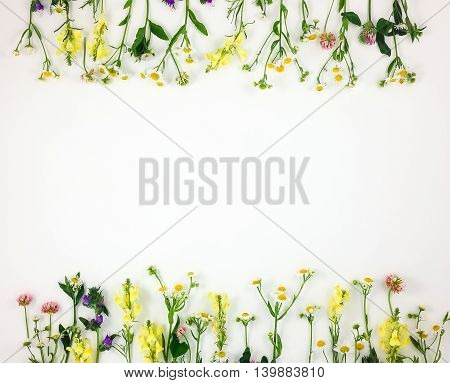 Colorful Bright Frame Made Of Meadow Flowers. Flay Lay, Top View