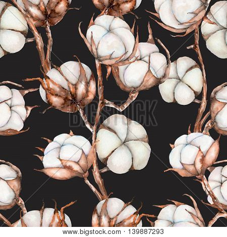 Seamless pattern of watercolor cotton flowers branches, hand drawn isolated on a dark background