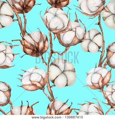 Seamless pattern of watercolor cotton flowers branches, hand drawn isolated on a turquoise background