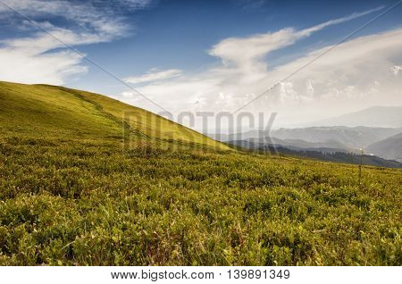Polonina Borzava (carpathians, Ukraine 2016)