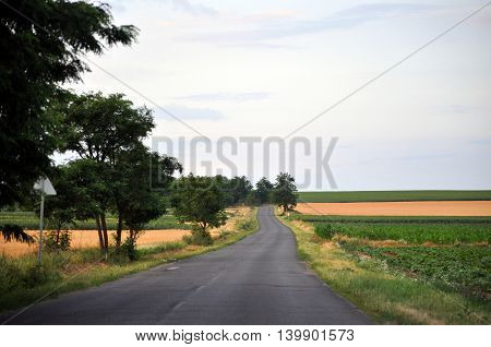 Long Highway road between agricultural fields photo