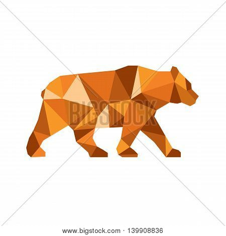 Low polygon style Illustration of an American black bearUrsus americanus a medium-sized bear native to North America viewed from side set on isolated white background.