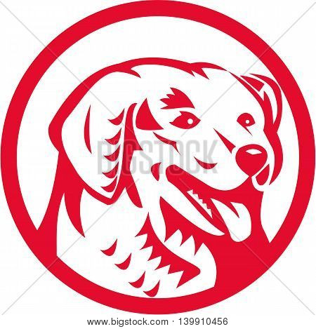 Illustration of a head of a Kuvasz an ancient breed of a livestock dog of Hungarian origin viewed from front set inside circle done in retro style.