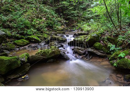 Small Native Trout Stream in Western Pennsylvania.
