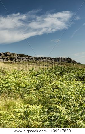The Peaks