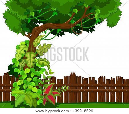Wooden fence and tropical tree for you design