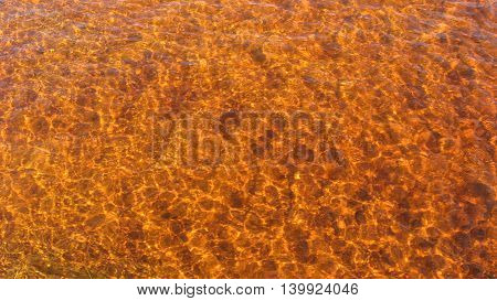 Tidal River golden water ripples abstract tannin