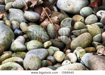Shoreline