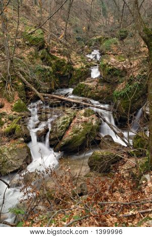 フォレスト内のクリーク