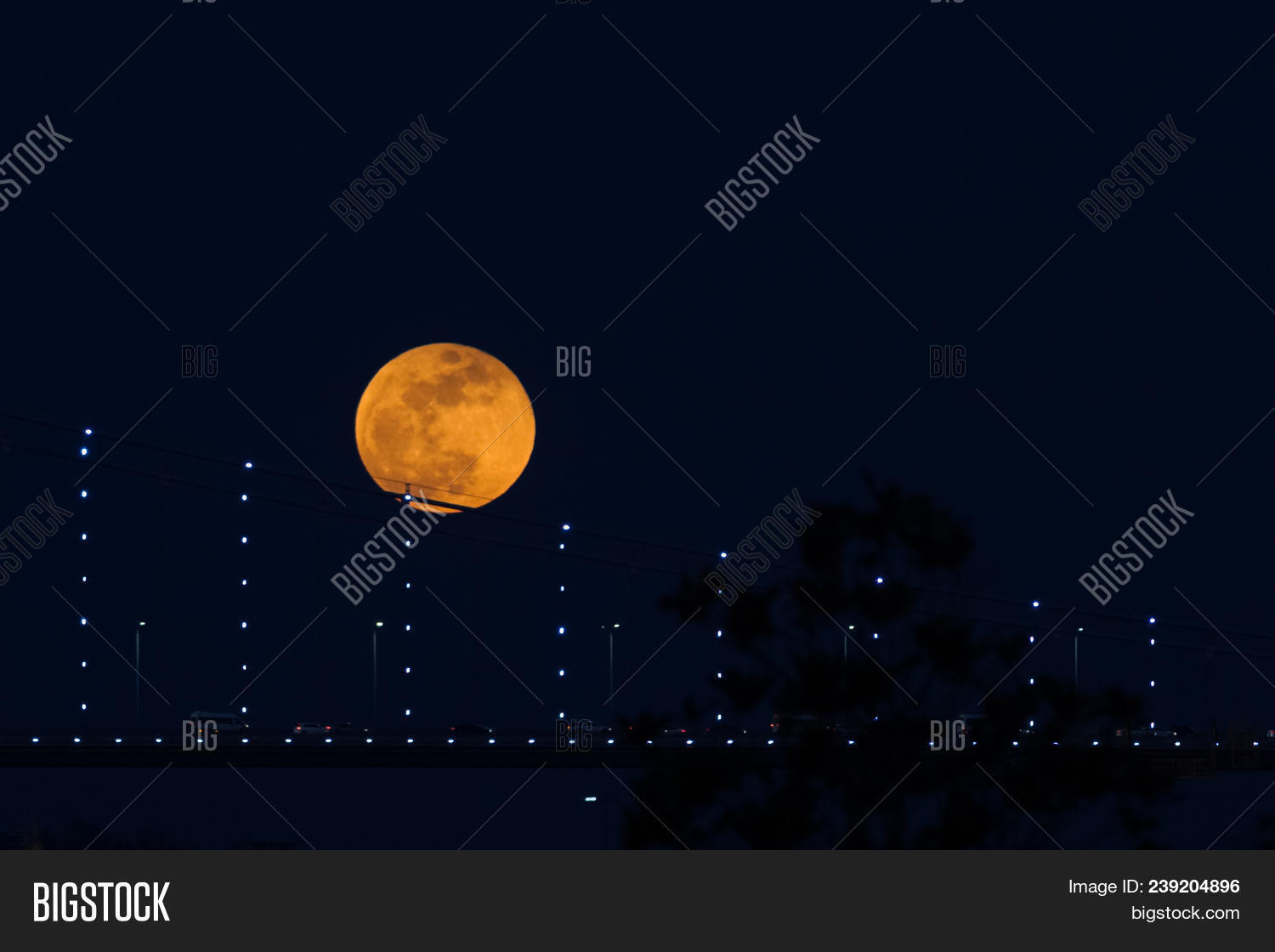 Super Blue Blood Moon Image & Photo (Free Trial) | Bigstock